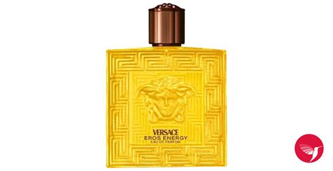 düfte von versace|versace parfum kaufen.